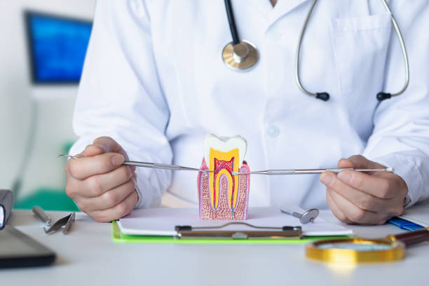 Best Tooth Infection Emergency Dentist  in Chinook, MT
